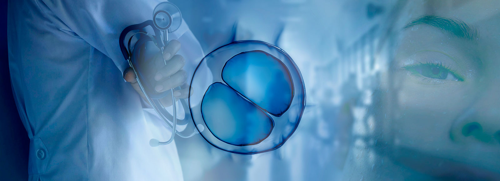 INTEGRIDAD Y TESTIMONIO